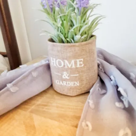 Bel Momento 알리카나스