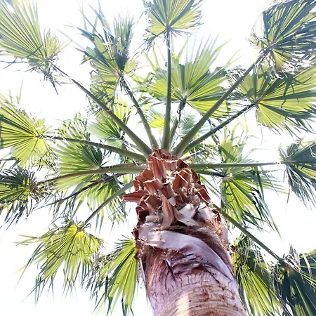 Bel Momento 3* 알리카나스